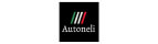 Autonetli